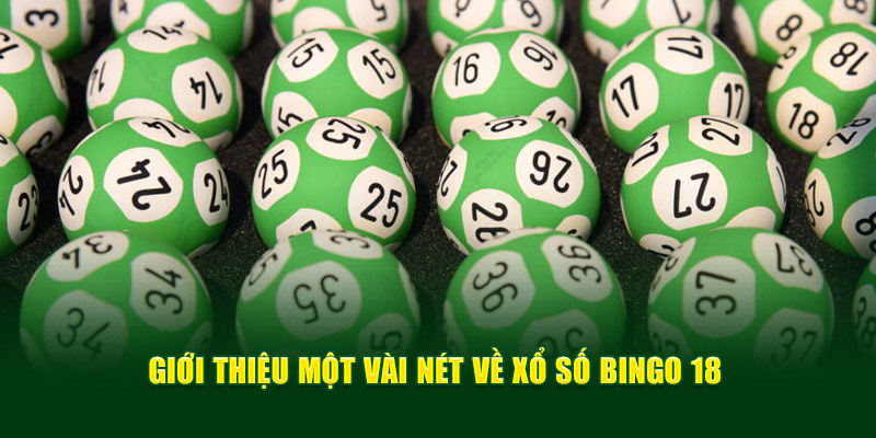 Giới thiệu một vài nét về xổ số bingo 18