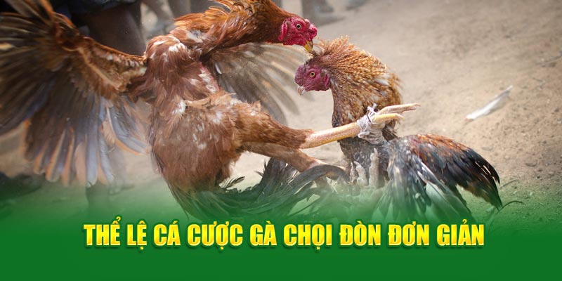 Thể lệ cá cược đá gà đòn đơn giản